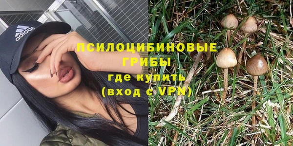 СК Кукмор