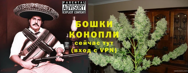 СК Кукмор
