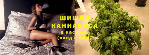 молекула духа Кондопога