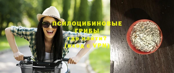 СК Кукмор