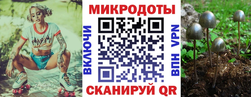 Псилоцибиновые грибы Psilocybine cubensis как найти наркотики ссылка на мегу ссылки Мончегорск