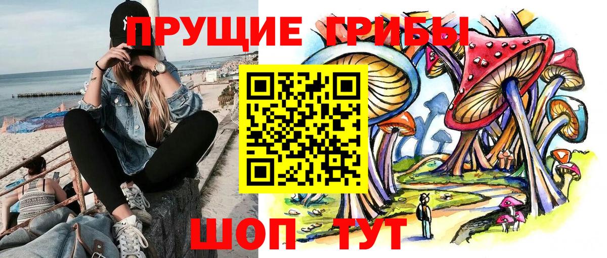 Мончегорск  Псилоцибиновые грибы MAGIC MUSHROOMS  Галлюциногенные грибы GOLDEN TEACHER  Вход с VPN 